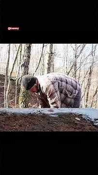 Living Off-Grid: I Built This Cabin With My Own Hands 🏕️ #construction #bushcraft #offgridliving