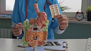 Doctor Explaining Digestive System Anatomy Model Stock Footage Video (100% Royalty-free) 3782416533 | Shutterstock