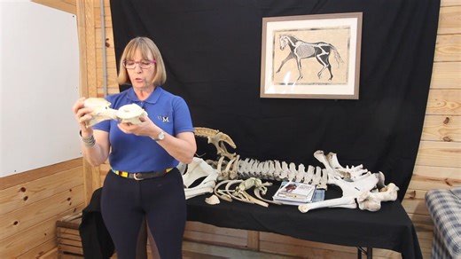 Discover ‘The Effortless Horse’ course with Wendy Murdoch, a transformative course designed for dedicated riders. Immerse yourself in modules that unravel the intricacies of horse-rider communication, focusing on biomechanics and nuanced movement of the horse. This journey is tailored to elevate your riding skills, addressing common frustrations and barriers to progress. Watch this short video from the course about Gravity and Movement. Then be sure to Click here to join the Priority Notificatio