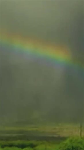 4M views · 135K reactions | The song that started it all. Unfortunately IZ never saw the success of “Over the Rainbow”, as he passed away before it really took off. This is also why we don’t have any live footage of him playing it. As his producer Jon de Mello said, “if we knew it would be such a massiive hit, it wouldnt have been track 14!” #israelkamakawiwoole #iz #hawaiian #overtherainbow #somewhereovertherainbow #ukulele #officialvideo | Israel "IZ" Kamakawiwoʻole | Facebook