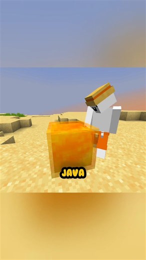 Bedrock vs Java is Wild!