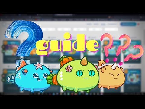 Axie Infinity in Game Controls and Overlay Explained