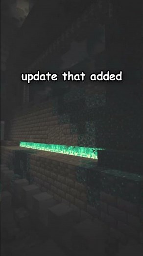 NEW MAJOR UPDATE COMING?????