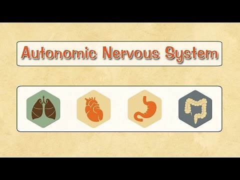 Easy Physiology | A.N.S | 1-Introduction & Autonomic Ganglia