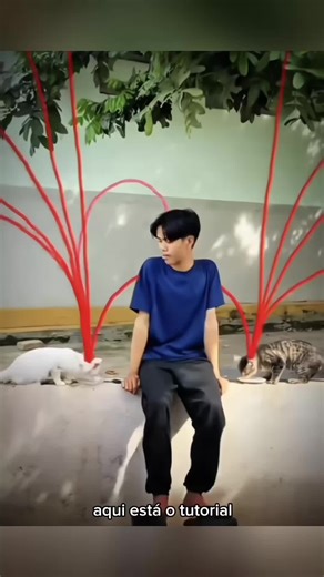 Cómo usar el filtro de líneas en TikTok