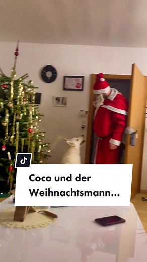 Santa Claus and Fluffy Dog's Heartwarming Christmas