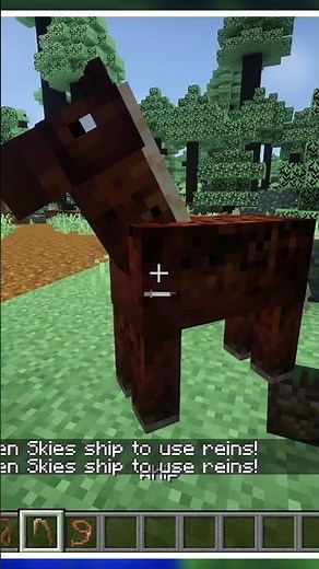 [Minecraft Mod Showcase] Tired of the daily grind? Why not take a journey by carriage?