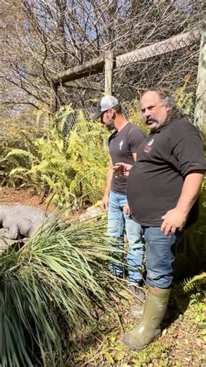 Avery Shoaf visits Kamp Kenan and finds his Swamp Spirit Animal🐊 #alligator