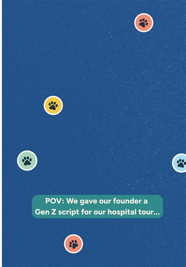 A Fun Tour of Affiliated Veterinary Emergency & Urgent Care