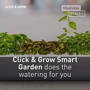 28K views · 32 reactions | Grow fresh produce directly on your...