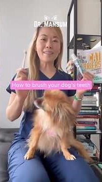 How to brush a dog’s teeth