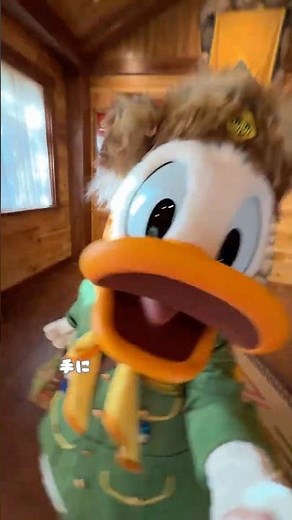 6月9日はドナルドの誕生日だよ💕いつも楽しいウッドチャック‼️ゆかいなドナルドダックのグリーティング😁ディズニーランド #キャラグリ #tdr #disney #donaldduck