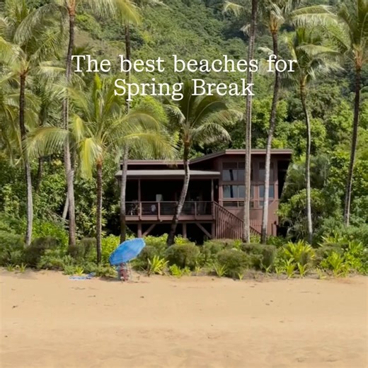 The best Spring Break stories start with booking early. This year's most sought after Spring Break spots include: 📍Rosemary Beach, Florida 📍Charleston, South Carolina 📍Maui, Hawaii 📍Tulum, Mexico 📍Seacrest Beach, Florida 📍Gulf Shores, Alabama 📍Outer Banks, North Carolina 📍Destin, Florida 📍Cape Cod, Massachusetts 🔗Explore the best Spring Break stays. Better yet, book early and save an average of 10% on select weekly stays. | Vrbo