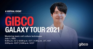 Mastering basic cell culture techniques