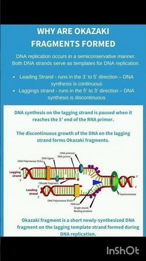 OKAZAKI FRAGMENTS ll #biology