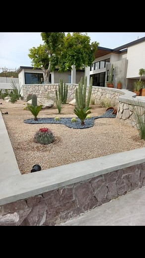 Jardines Desérticos: Paz y Diseño Natural