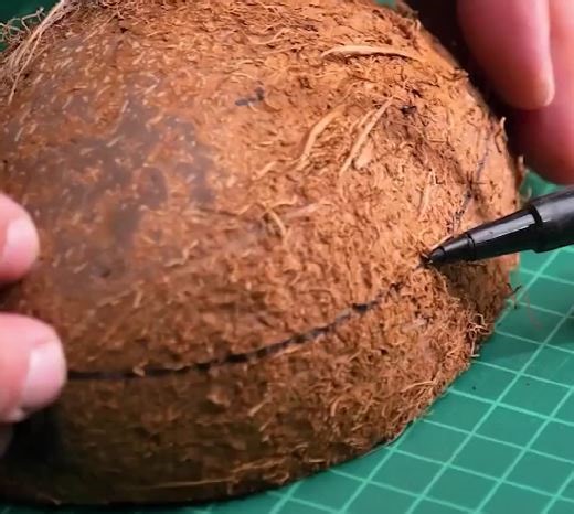 3.4M views · 11K reactions | Don’t Toss It! Amazing Things You Can Make from Coconut Shells | 5-Minute Crafts | Facebook