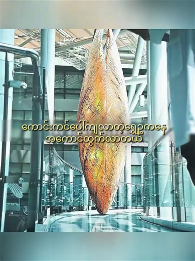 The Golden Egg Movie Recap