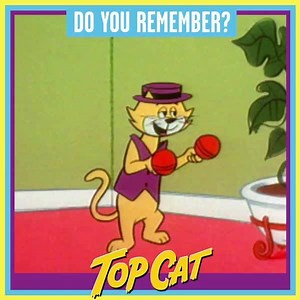 Top Cat is here on Boomerang! 🎩 🐈 Start watching now ➡️ boomtoons.co/TopCat | Boomerang