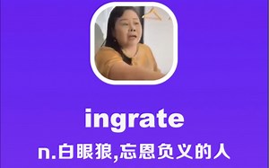 ingrate：白眼狼，忘恩负义的人