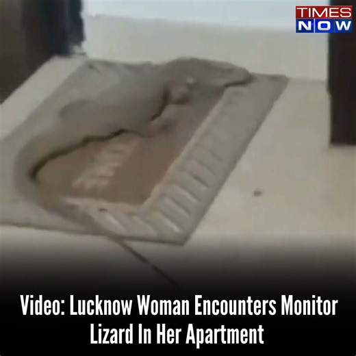 A Lucknow woman had the scare of her life when she came face-to-face with a monitor lizard – inside the building where she lives. The reptile seemingly went unnoticed until reaching the second floor of ​​Yash Heights Tower apartment in Vibhutikhand area, causing the resident to rush downstairs in panic. #Lucknow #Lizard #TimesNow | TIMES NOW