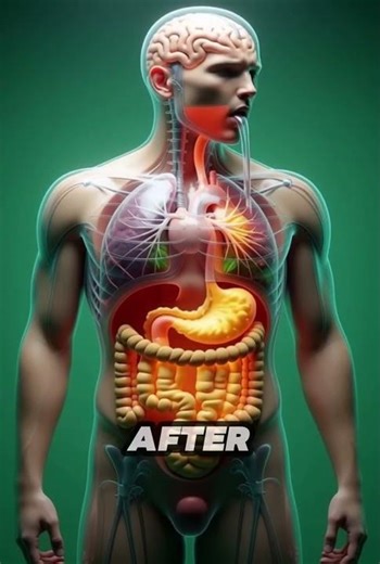 “Drinking Water Right After Eating? Watch What Happens Inside”