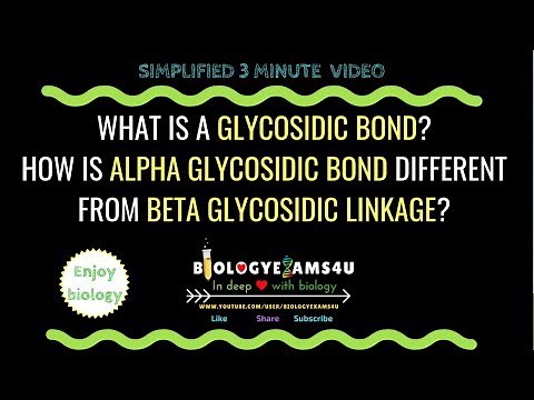 What is a Glycosidic bond? Difference between alpha and beta Glycosidic linkage