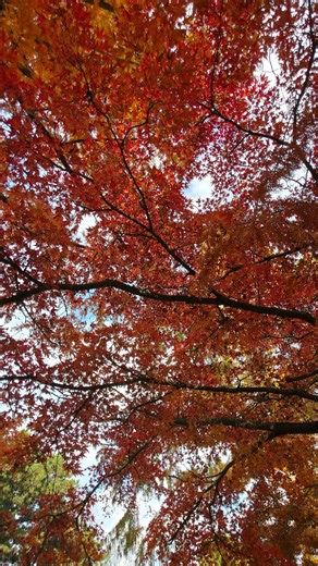 Hello November  #novemberinbudapest | Julia Sherman | Facebook