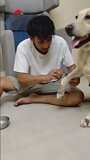 Healing Journey of my Brave Dog ❤️🐾 | Dog Wound Care & Recovery
