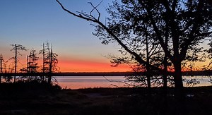 Everyone will lose unless humanity makes ‘peace with the planet’, declares Guterres