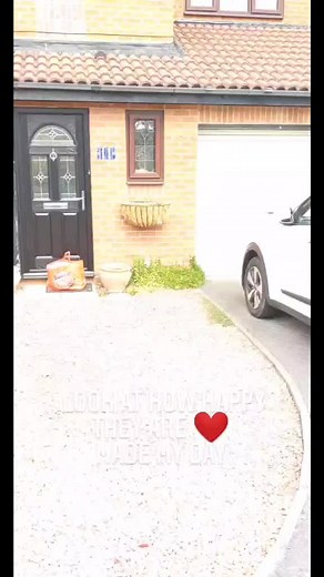 Dropped some shopping off for my parents and a surprise ❤️#quarantine #foryou #thisismyfamily #surprise #missyou #fyp