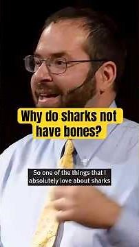 Why don't sharks have bones? with David Shiffman #shorts #sharks #science