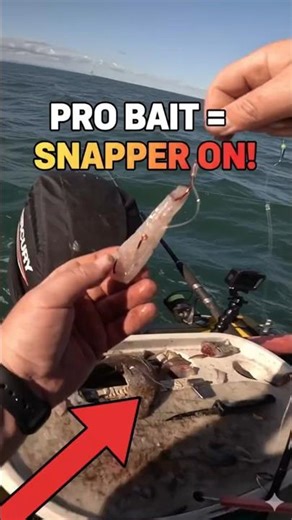 SECRET PRO BAIT REVEALED – SNAPPER GUARANTEED CATCH! #Shorts