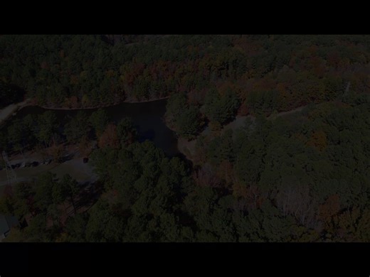 Autumn has arrived at Bowie Nature Park! The leaves have turned—it's a great time for a walk, photos, or simply enjoying our beautiful park. | City of Fairview, TN