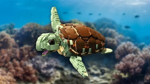 Two LEGO Ideas turtle projects are now in review rounds