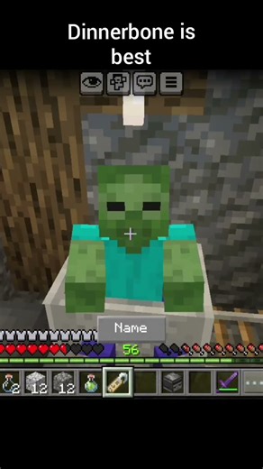Perfect Use of Dinnerbone