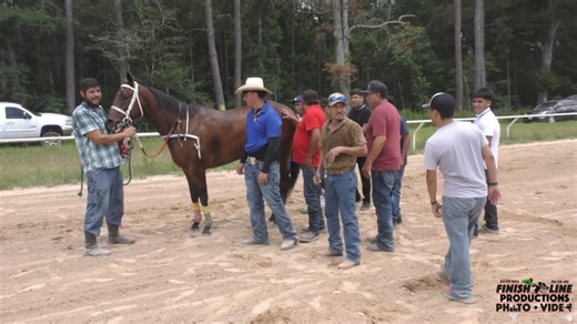 4.8K views · 25 reactions |  “EL ORIGINAL COYOTE” TRAINING CENTER  磊 “EL GATILLERO” CUADRA FLORES  磊  LE GANA A….  賂 LA VENADITA CUADRA NOÉ-C/G RACING 賂 (250 Yds) (Música sin derechos de Autor) (6-16-24) | Finish Line Productions | Facebook