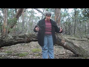 Pooping in the bush - How to