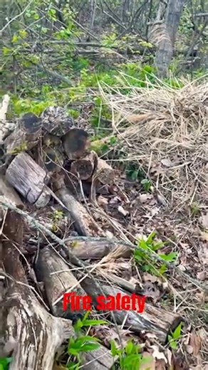 Is Burning Yard Waste Legal in North Carolina? Know Before You Burn! #burnbarrel #burnleaves #knowyourrights | Shane Smith Law | Facebook