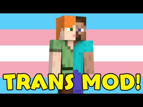 Minecraft Trans Feature