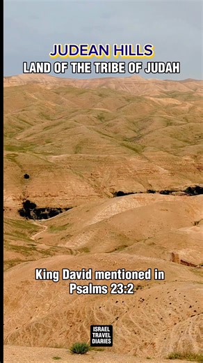 This is Judean hills, the famous "Green Pasture" in Israel which was mentioned by King David in Psalms 23:2. Come and see the beautiful and amazing hills of Judea. Kindly like, share, subscribe, and follow guys for more content updates. Shalom #Israel #holyland #FaithCommunity #seasonalgreetings #christianity #judea #KingDavid #Psalms23 #share #followme | Pastor Aries Paduga - The Travelling Preacher in Israel