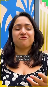 The reimagined FOREST taking centre stage in the middle of Leeds! 🌲 Next to the Leeds Playhouse at the new Moda Living is a space transformed into an exploration of an unknown side of Leeds’ history 😲 Until the 26th November, This is a FOREST from LEEDS 2023 asks visitors ‘what sort of land is your Leeds built on?’ 🟦🟨 With artists spanning from residents at Yorkshire Sculpture Park all the way to the Arctic Circle and Amazon Rainforest, the exhibit features work from Invisible Flock - with s