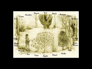 Ogham, The Divination Story