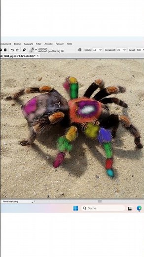 Vogelspinne mit Artweaver bunt gestalten #shorts