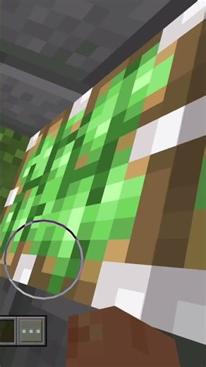 Epic Minecraft Trick: Which One Out of Four Players Activated The Trap?