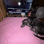 1500 Supreme Collection Full Sheet Sets Gray - Luxury Hotel Bed Sheets and Pillowcase Set for Full Mattress - Extra Soft, Elastic Corner Straps, Deep Pocket Sheets, Full Gray