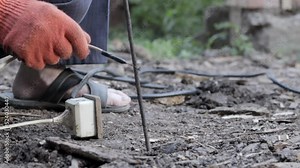 Extraction of worms by electric current, at 220 volts. Dig up or lure worms out of the soil without a shovel. Worms in black soil for fishing bait or composting.