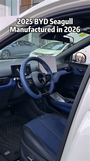 2025 BYD Seagull ⚡🚗 | Smart EV Choice for Africa Market 🌍