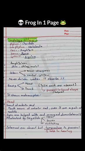 Frogs | Morphology Anatomy: Structure, Diagram & Easy | Biology Class 11| NEET PDF #neetpreparation
