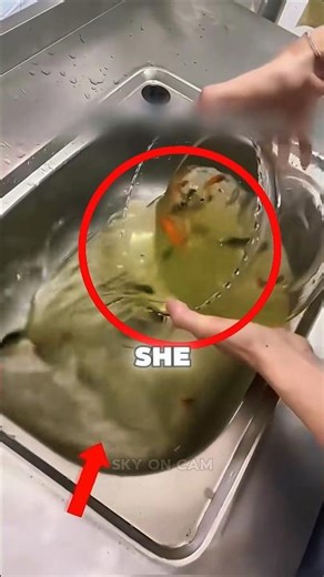 Girl Cleans Fish Tank in the Most Shocking Way!